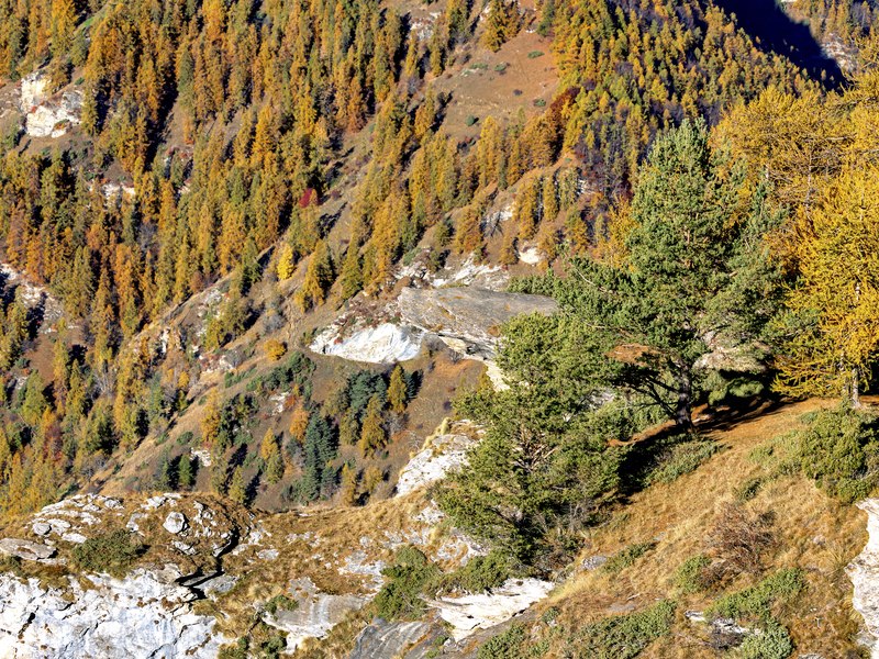 Sentiero verso il Fremo Cuncunà