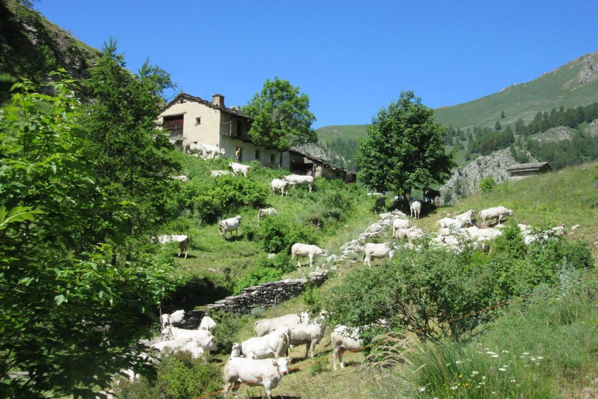 Escursione Ussolo – Elva