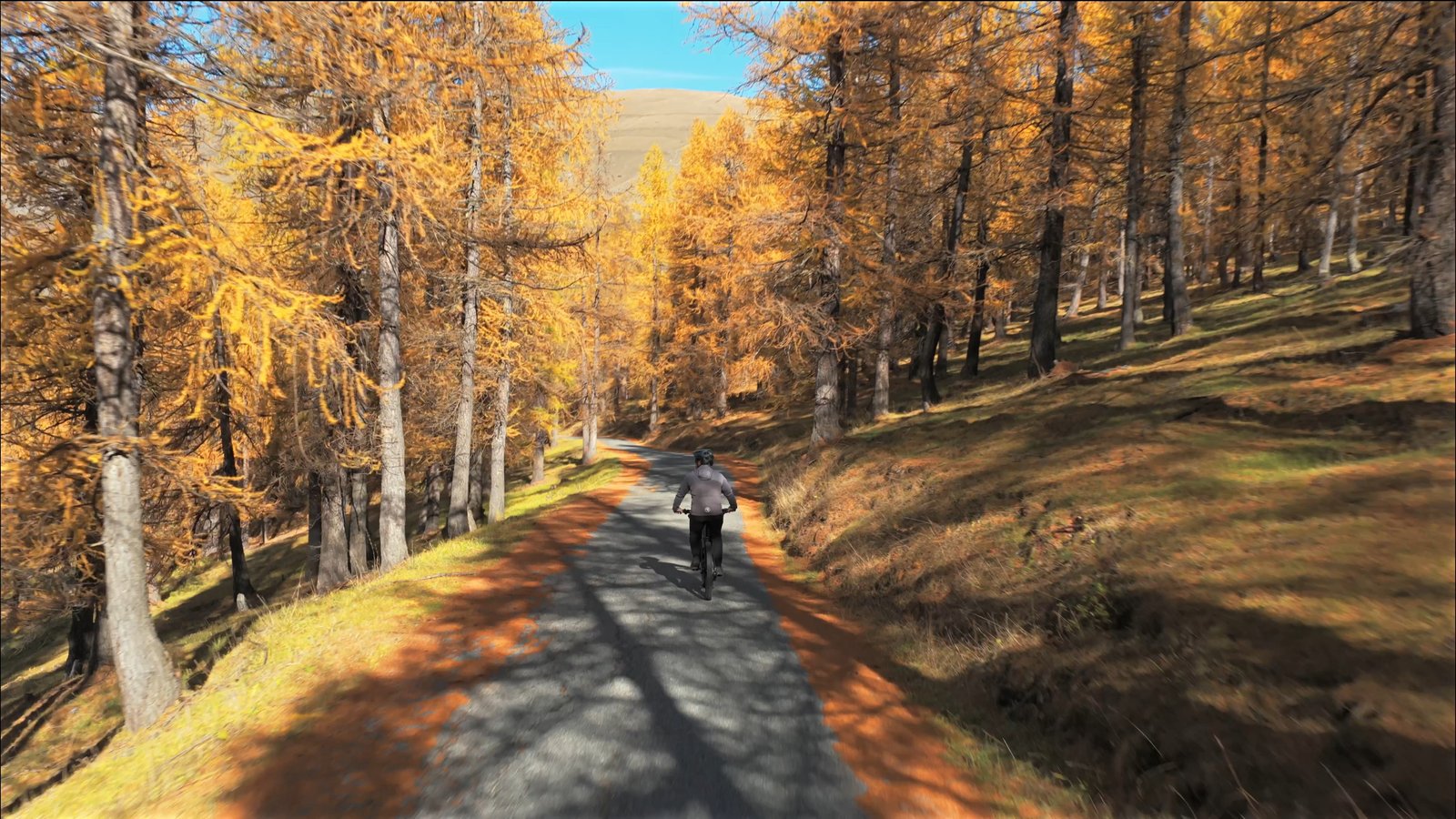 Sentieri di Elva tra i larici