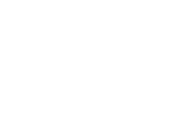 Logo Visit Elva